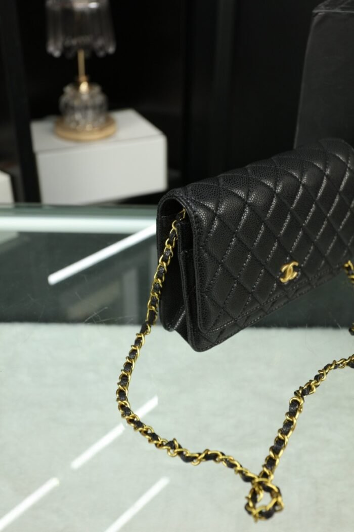 Chanel Woc Wealth Bag（8colors 20*11cm） - 图片 10