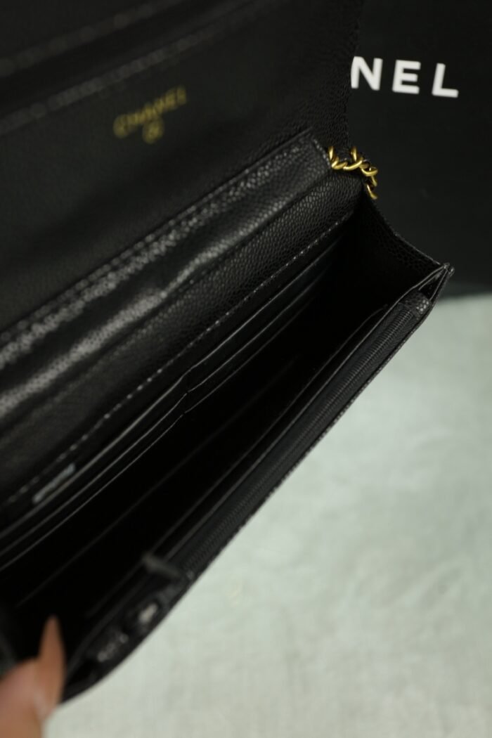 Chanel Woc Wealth Bag（8colors 20*11cm） - 图片 11