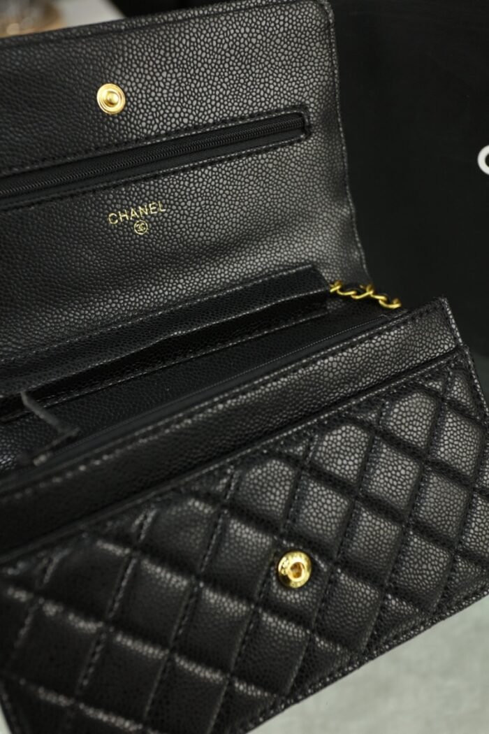 Chanel Woc Wealth Bag（8colors 20*11cm） - 图片 12