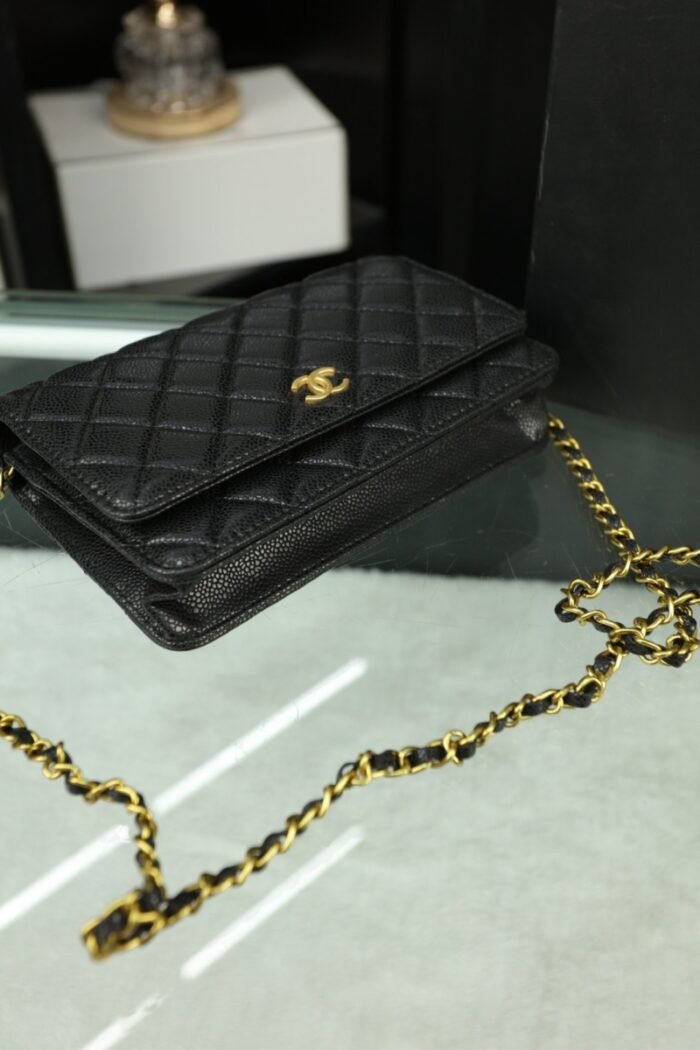 Chanel Woc Wealth Bag（8colors 20*11cm） - 图片 13
