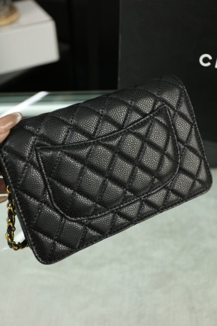 Chanel Woc Wealth Bag（8colors 20*11cm） - 图片 14