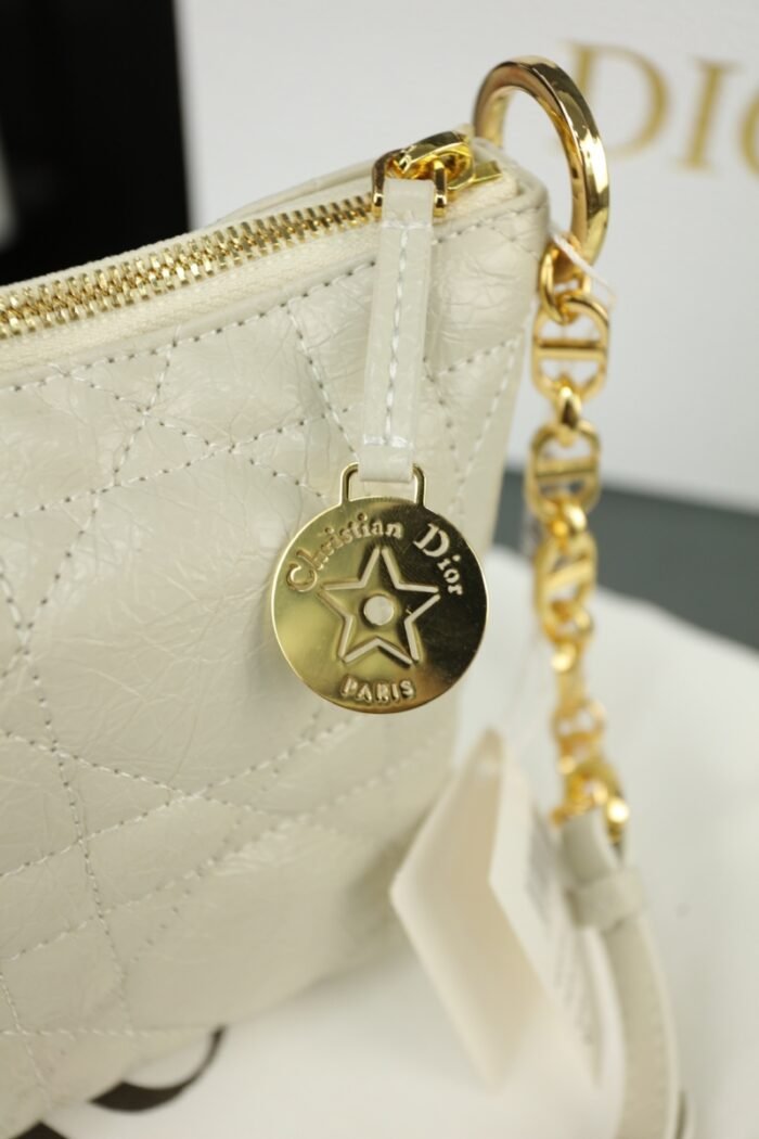 Dior Travel Nomad Pouch（3colors 22*14cm） - 图片 5
