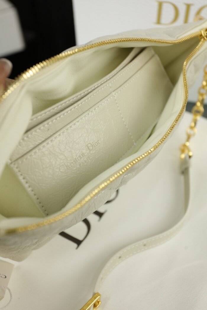 Dior Travel Nomad Pouch（3colors 22*14cm） - 图片 8