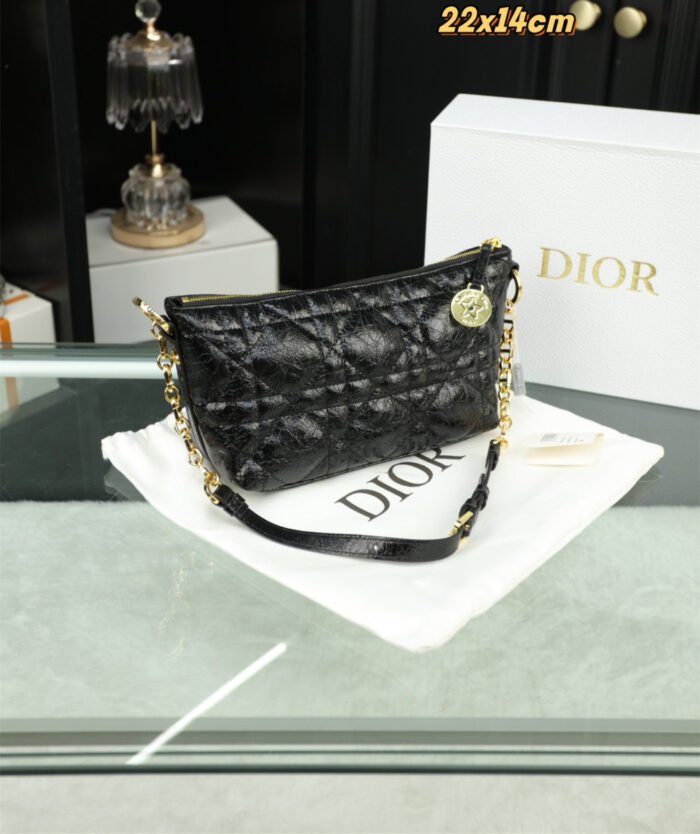 Dior Travel Nomad Pouch（3colors 22*14cm）