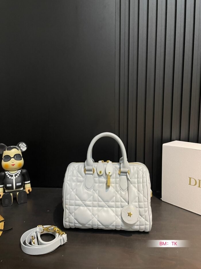 Dior Pillow bag（4colors） - 图片 6