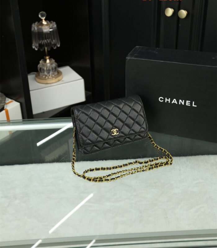 Chanel Woc Wealth Bag（8colors 20*11cm） - 图片 7