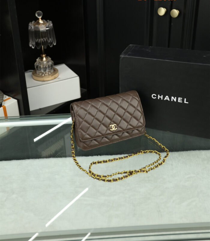 Chanel Woc Wealth Bag（8colors 20*11cm） - 图片 4