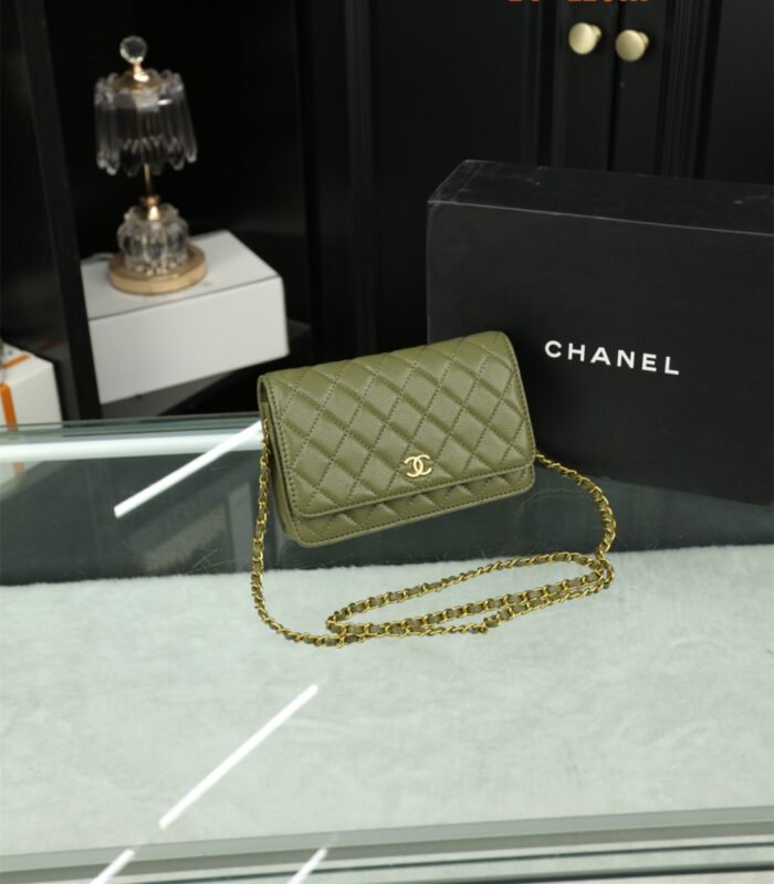 Chanel Woc Wealth Bag（8colors 20*11cm） - 图片 8