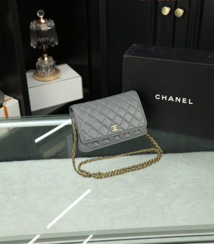 Chanel Woc Wealth Bag（8colors 20*11cm） - 图片 5