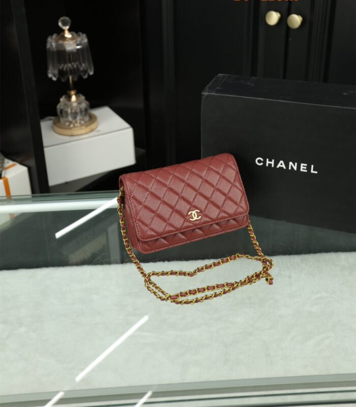 Chanel Woc Wealth Bag（8colors 20*11cm） - 图片 6