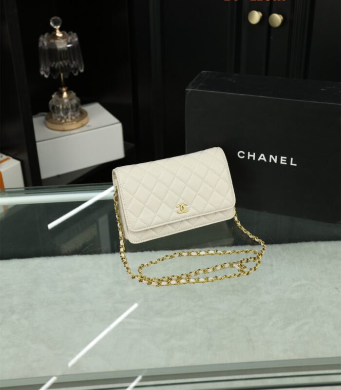 Chanel Woc Wealth Bag（8colors 20*11cm）
