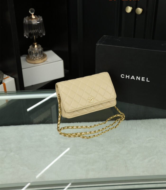 Chanel Woc Wealth Bag（8colors 20*11cm） - 图片 3