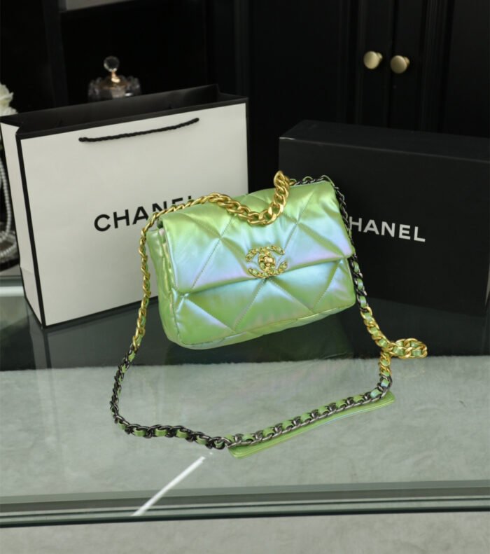 Chanel 19 Chain Bag（5colors 25*18cm）